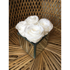 Mirror Box Ivory one year Roses Gift arrangement