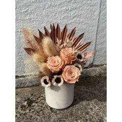Peachy Preserved one year Roses gift arrangement