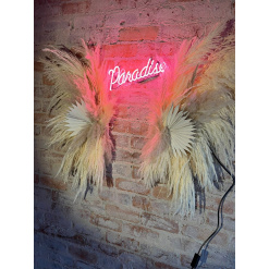 Large Backdrop Fluffy Pampas Wing Styling