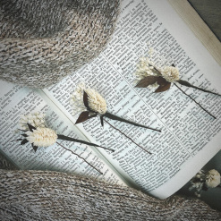 Earth Preserved Rose dried Autumnal tones Floral Hair Pin