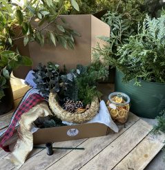 Christmas wreath making home kit